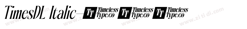 TimesDL Italic字体转换